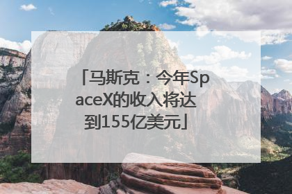 马斯克：今年SpaceX的收入将达到155亿美元