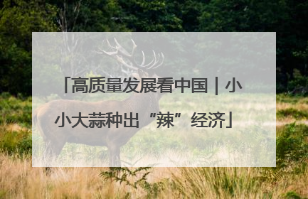 高质量发展看中国｜小小大蒜种出“辣”经济
