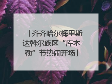 齐齐哈尔梅里斯达斡尔族区“库木勒”节热闹开场