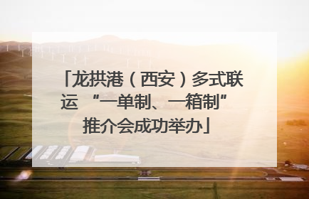 龙拱港（西安）多式联运 “一单制、一箱制” 推介会成功举办