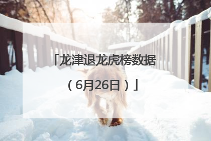 龙津退龙虎榜数据（6月26日）