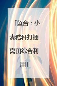 鱼台：小麦秸秆打捆离田综合利用