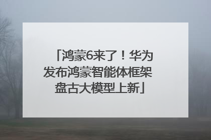 鸿蒙6来了！华为发布鸿蒙智能体框架 盘古大模型上新