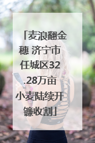 麦浪翻金穗 济宁市任城区32.28万亩小麦陆续开镰收割