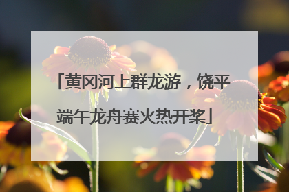 黄冈河上群龙游，饶平端午龙舟赛火热开桨