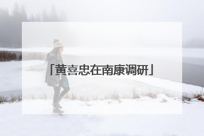 黄喜忠在南康调研