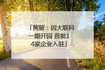 黄陂：因大联科一期开园 首批14家企业入驻