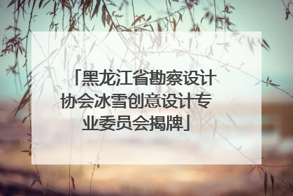 黑龙江省勘察设计协会冰雪创意设计专业委员会揭牌