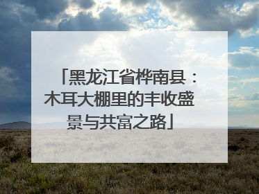 黑龙江省桦南县：木耳大棚里的丰收盛景与共富之路