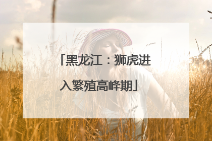 黑龙江：狮虎进入繁殖高峰期