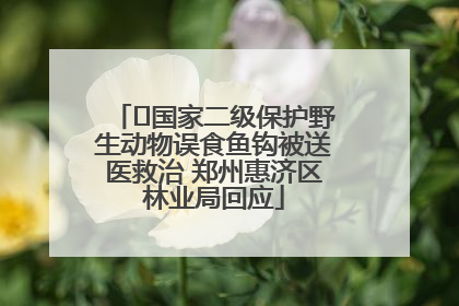﻿国家二级保护野生动物误食鱼钩被送医救治 郑州惠济区林业局回应