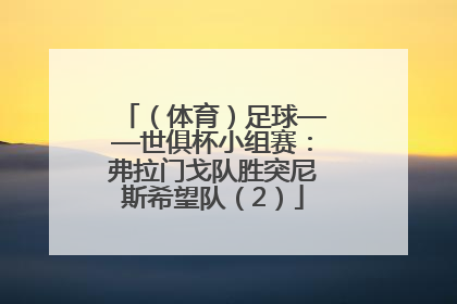 （体育）足球——世俱杯小组赛：弗拉门戈队胜突尼斯希望队（2）