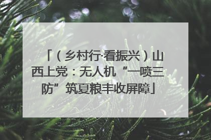 （乡村行·看振兴）山西上党：无人机“一喷三防”筑夏粮丰收屏障