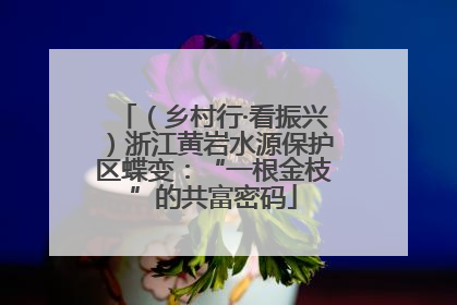（乡村行·看振兴）浙江黄岩水源保护区蝶变：“一根金枝”的共富密码