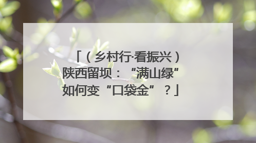 （乡村行·看振兴）陕西留坝：“满山绿”如何变“口袋金”？