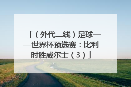 （外代二线）足球——世界杯预选赛：比利时胜威尔士（3）