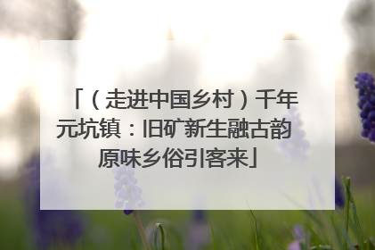 （走进中国乡村）千年元坑镇：旧矿新生融古韵 原味乡俗引客来