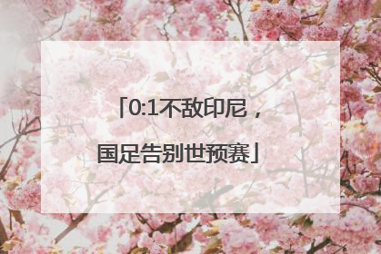 0:1不敌印尼，国足告别世预赛