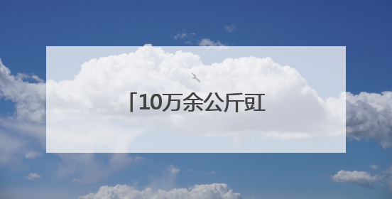 10万余公斤豇豆货款一分没少