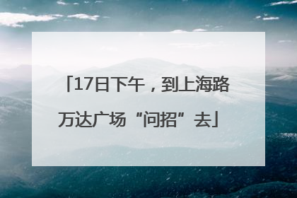 17日下午，到上海路万达广场“问招”去