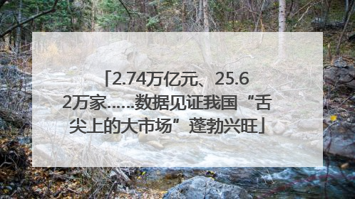 2.74万亿元、25.62万家……数据见证我国“舌尖上的大市场”蓬勃兴旺