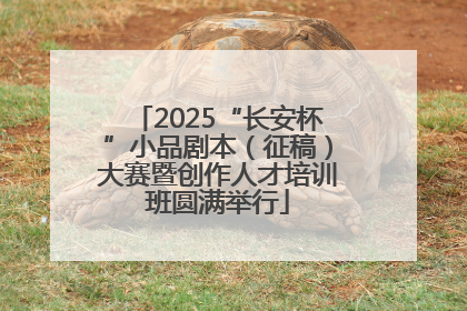 2025“长安杯”小品剧本（征稿）大赛暨创作人才培训班圆满举行