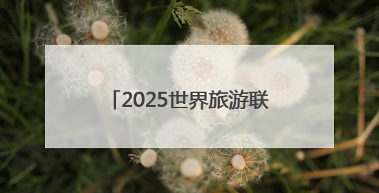 2025世界旅游联盟·洞庭对话｜专家建言黔湘文旅协同发展：聚焦产品稀缺性 深化区域经验共享