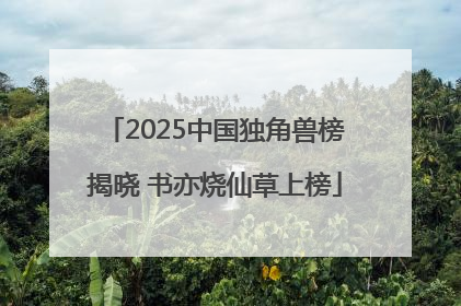 2025中国独角兽榜揭晓 书亦烧仙草上榜