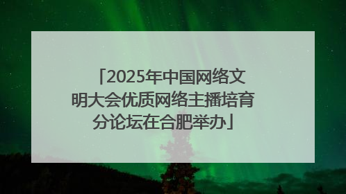 2025年中国网络文明大会优质网络主播培育分论坛在合肥举办