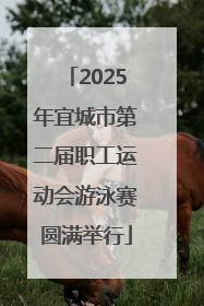 2025年宜城市第二届职工运动会游泳赛圆满举行