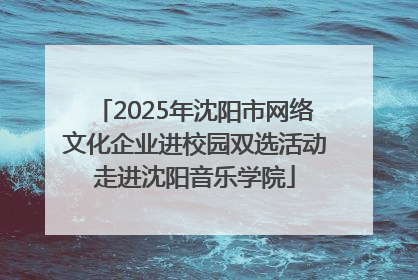 2025年沈阳市网络文化企业进校园双选活动走进沈阳音乐学院