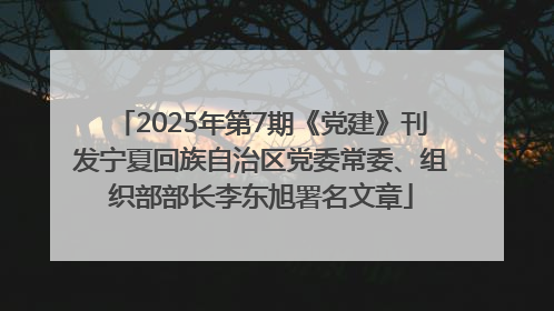 2025年第7期《党建》刊发宁夏回族自治区党委常委、组织部部长李东旭署名文章