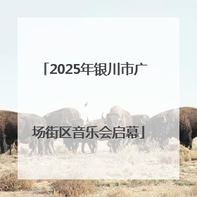 2025年银川市广场街区音乐会启幕