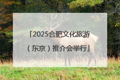 2025合肥文化旅游（东京）推介会举行