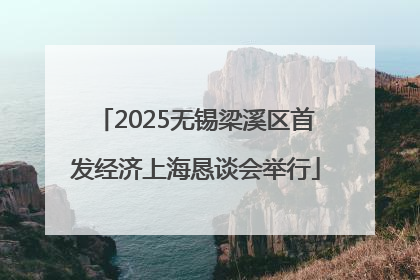 2025无锡梁溪区首发经济上海恳谈会举行