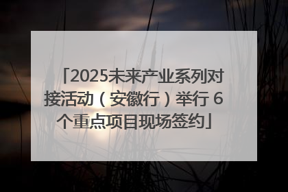 2025未来产业系列对接活动（安徽行）举行 6个重点项目现场签约