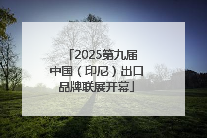2025第九届中国（印尼）出口品牌联展开幕