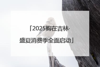 2025购在吉林·盛夏消费季全面启动