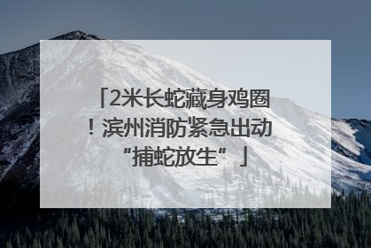 2米长蛇藏身鸡圈！滨州消防紧急出动“捕蛇放生”