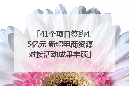 41个项目签约4.5亿元 新疆电商资源对接活动成果丰硕