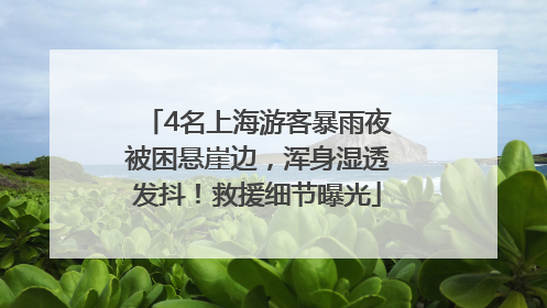 4名上海游客暴雨夜被困悬崖边，浑身湿透发抖！救援细节曝光