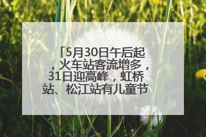 5月30日午后起，火车站客流增多，31日迎高峰，虹桥站、松江站有儿童节和端午亲子活动