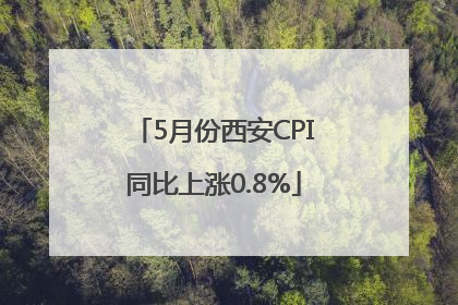 5月份西安CPI同比上涨0.8%