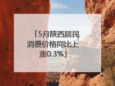 5月陕西居民消费价格同比上涨0.3%
