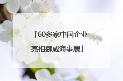 60多家中国企业亮相挪威海事展