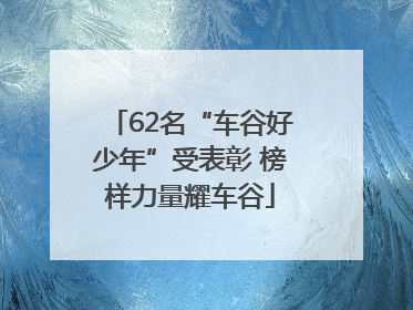 62名“车谷好少年”受表彰 榜样力量耀车谷