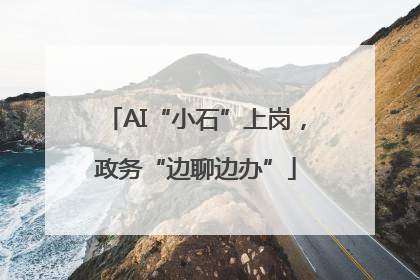 AI“小石”上岗，政务“边聊边办”