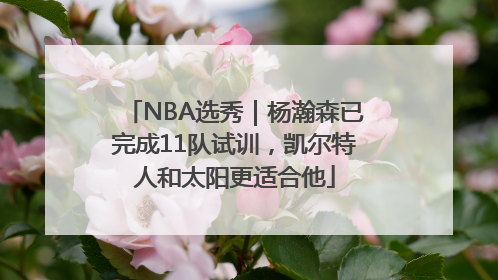 NBA选秀｜杨瀚森已完成11队试训，凯尔特人和太阳更适合他