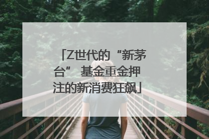 Z世代的“新茅台” 基金重金押注的新消费狂飙